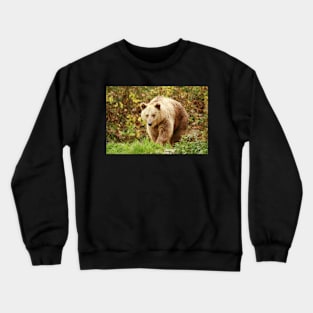 Grizzly Crewneck Sweatshirt